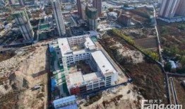 保定复兴路爆料案件最新,惊现惊人内幕，真相即将揭晓！